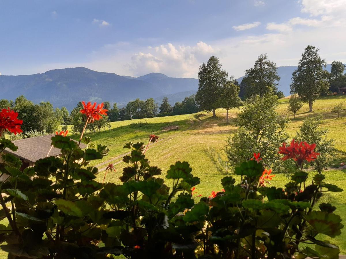 Ferienwohnung Johanna Sankt Georgen im Gailtal Exteriör bild