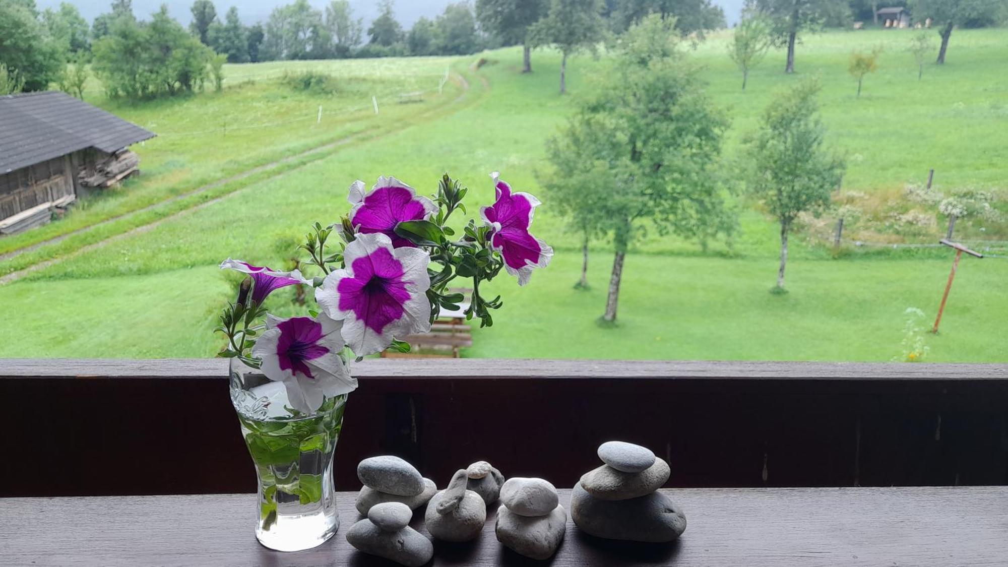 Ferienwohnung Johanna Sankt Georgen im Gailtal Exteriör bild